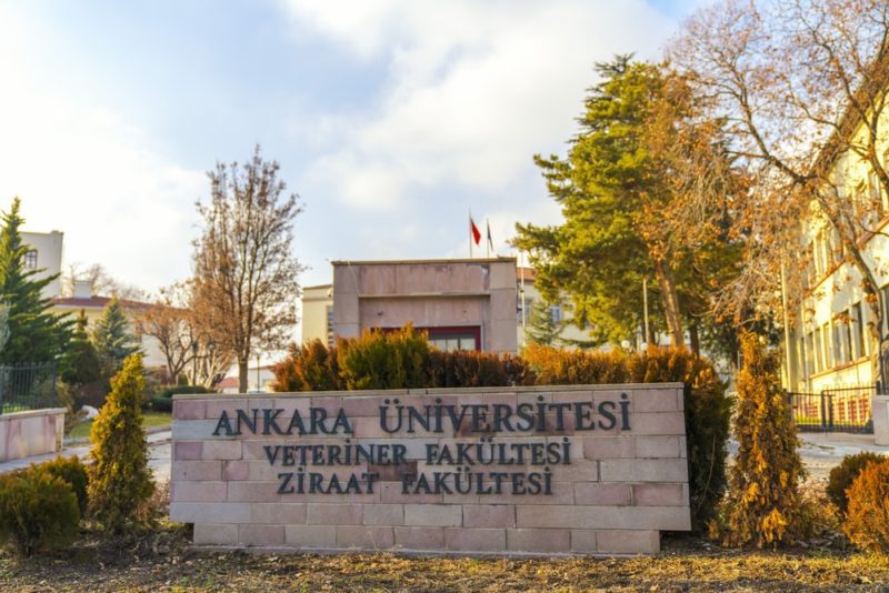 University Ankara University image